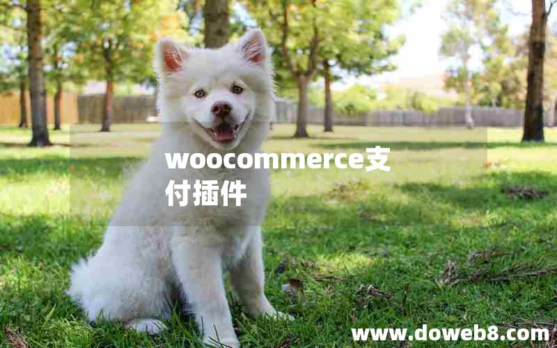 woocommerce支付插件