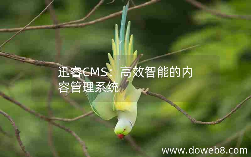 迅睿CMS：高效智能的内容管理系统