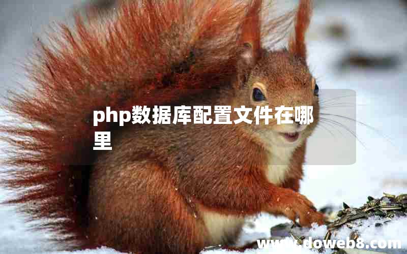 php数据库配置文件在哪里