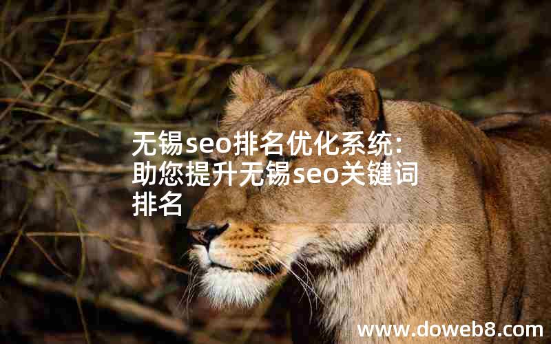 无锡seo排名优化系统:助您提升无锡seo关键词排名