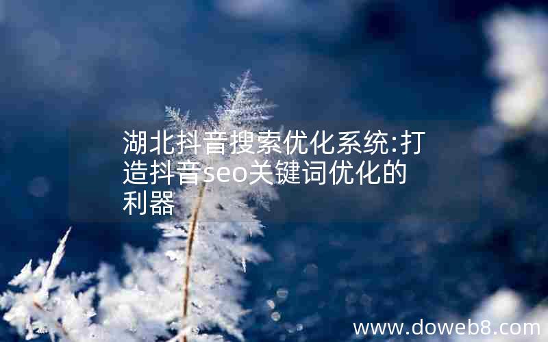 湖北抖音搜索优化系统:打造抖音seo关键词优化的利器