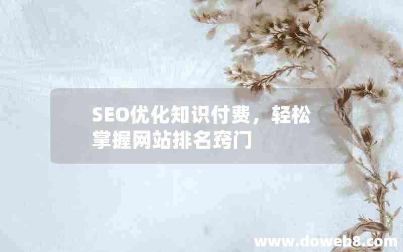 SEO优化知识付费，轻松掌握网站排名窍门