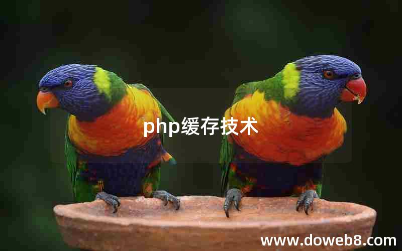 php缓存技术