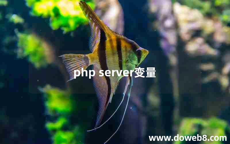 php server变量