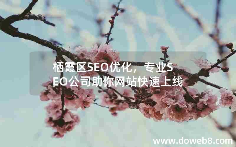 栖霞区SEO优化，专业SEO公司助你网站快速上线