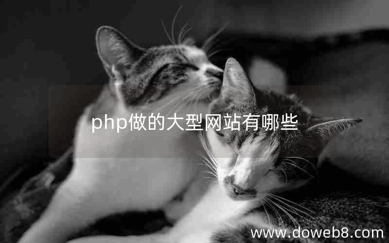 php做的大型网站有哪些