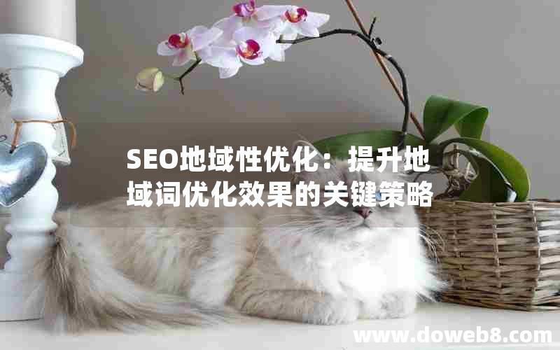 SEO地域性优化：提升地域词优化效果的关键策略