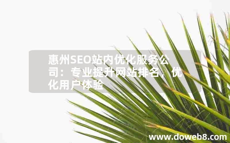 惠州SEO站内优化服务公司：专业提升网站排名，优化用户体验