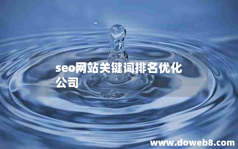 seo网站关键词排名优化公司