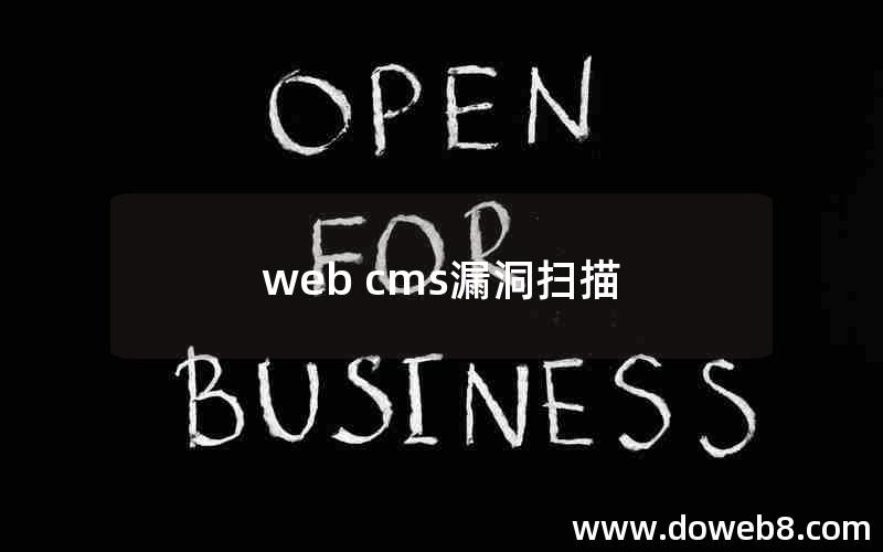 web cms漏洞扫描