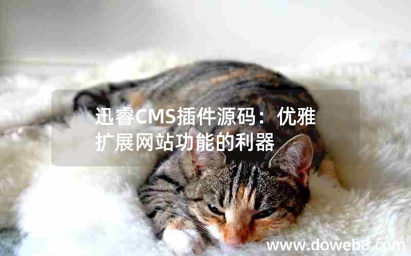 迅睿CMS插件源码：优雅扩展网站功能的利器