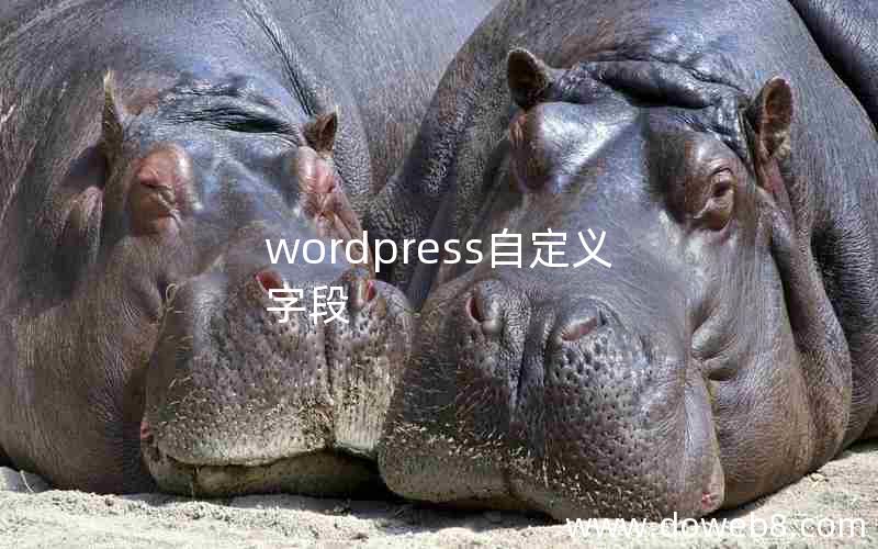 wordpress自定义字段