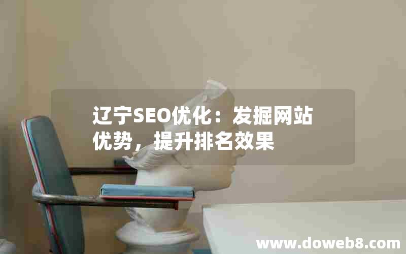 辽宁SEO优化：发掘网站优势，提升排名效果