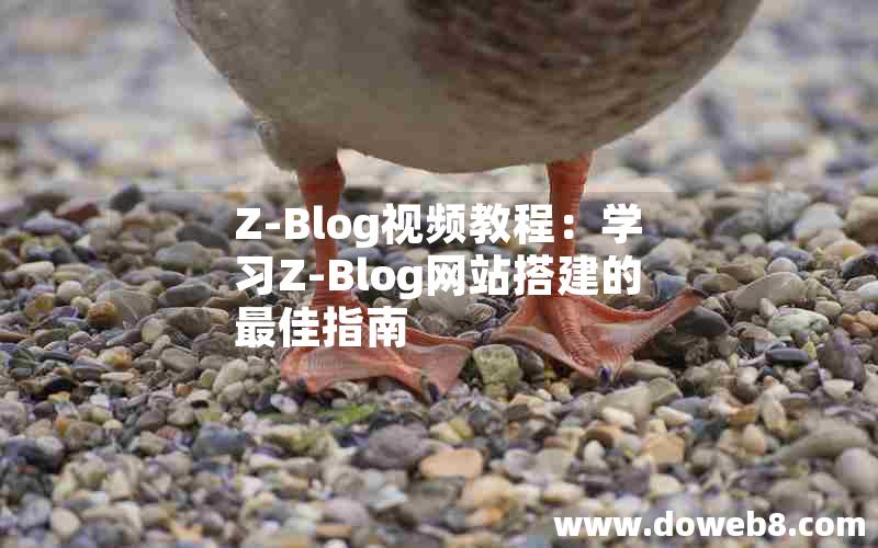 Z-Blog视频教程：学习Z-Blog网站搭建的最佳指南