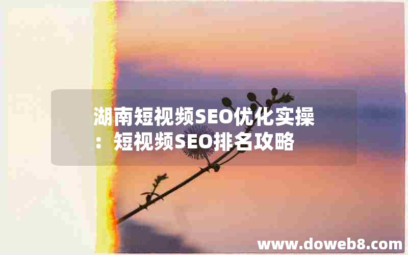 湖南短视频SEO优化实操：短视频SEO排名攻略