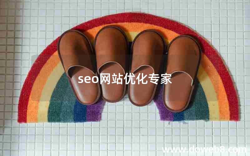 seo网站优化专家