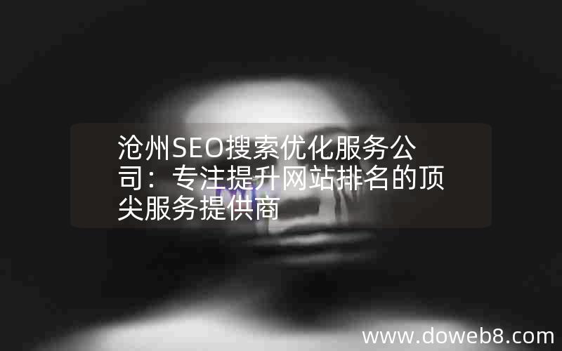 沧州SEO搜索优化服务公司：专注提升网站排名的顶尖服务提供商