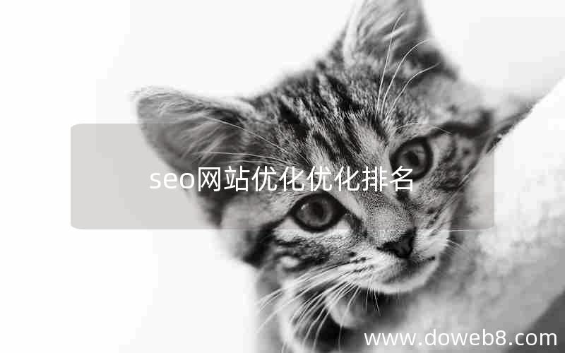 seo网站优化优化排名