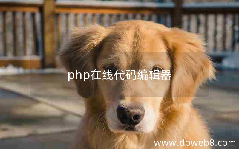 php在线代码编辑器