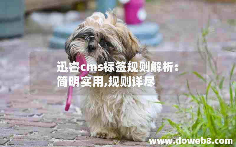 迅睿cms标签规则解析:简明实用,规则详尽