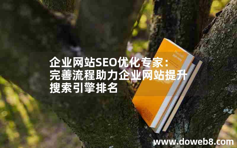 企业网站SEO优化专家：完善流程助力企业网站提升搜索引擎排名