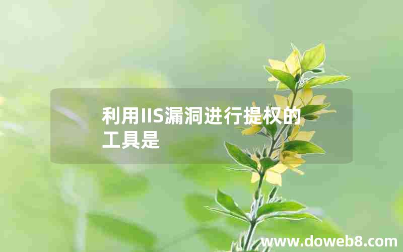 利用IIS漏洞进行提权的工具是