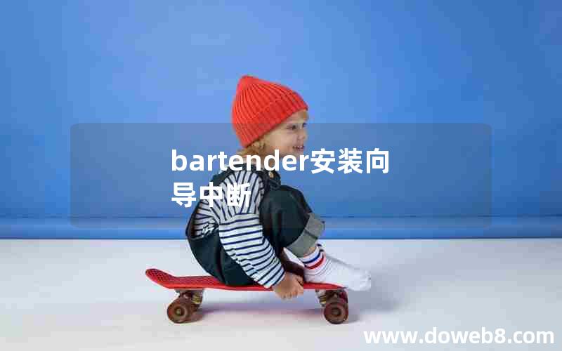 bartender安装向导中断