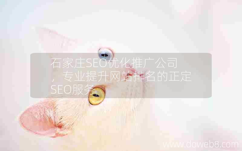 石家庄SEO优化推广公司，专业提升网站排名的正定SEO服务