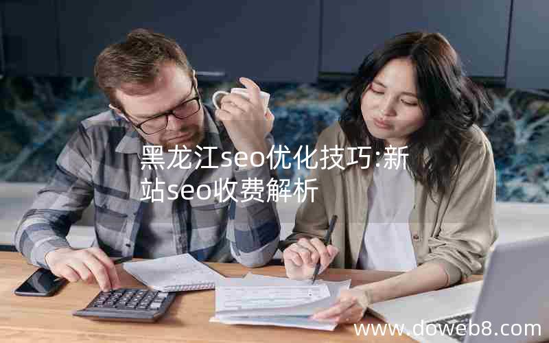 黑龙江seo优化技巧:新站seo收费解析