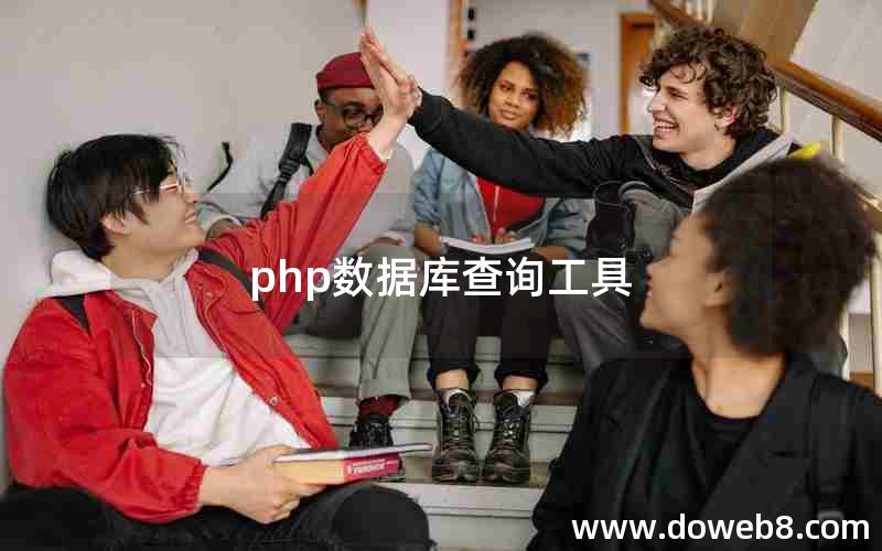 php数据库查询工具