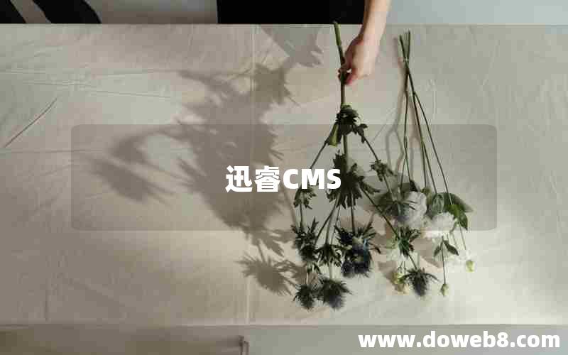 迅睿CMS