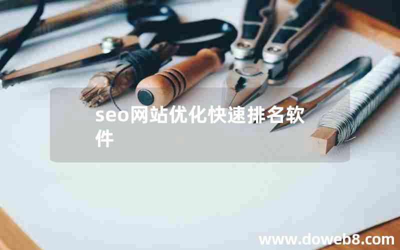 seo网站优化快速排名软件