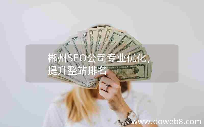 郴州SEO公司专业优化，提升整站排名