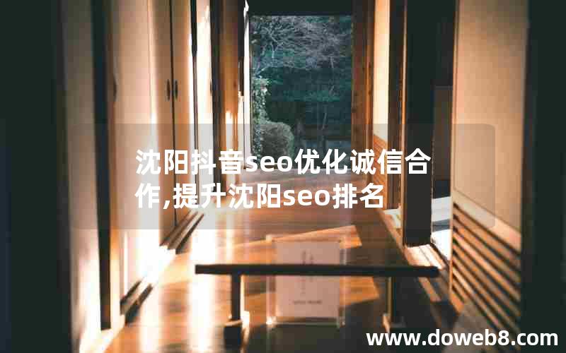 沈阳抖音seo优化诚信合作,提升沈阳seo排名