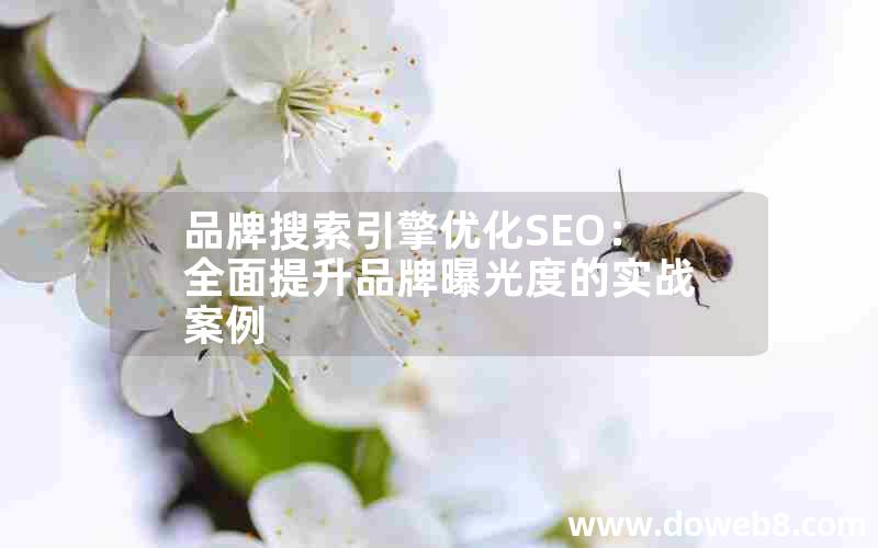 品牌搜索引擎优化SEO：全面提升品牌曝光度的实战案例