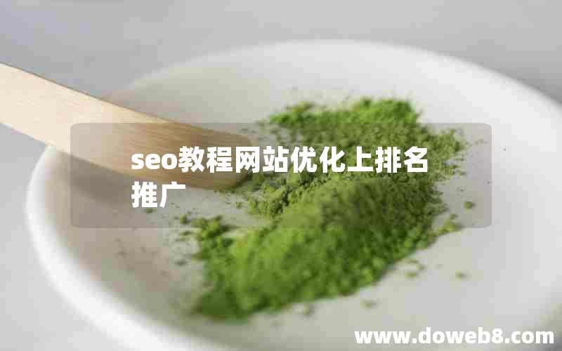 seo教程网站优化上排名推广