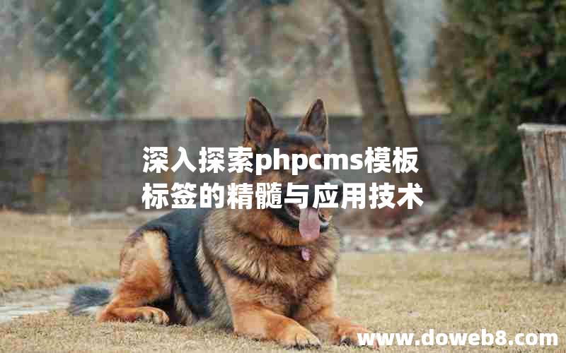 深入探索phpcms模板标签的精髓与应用技术