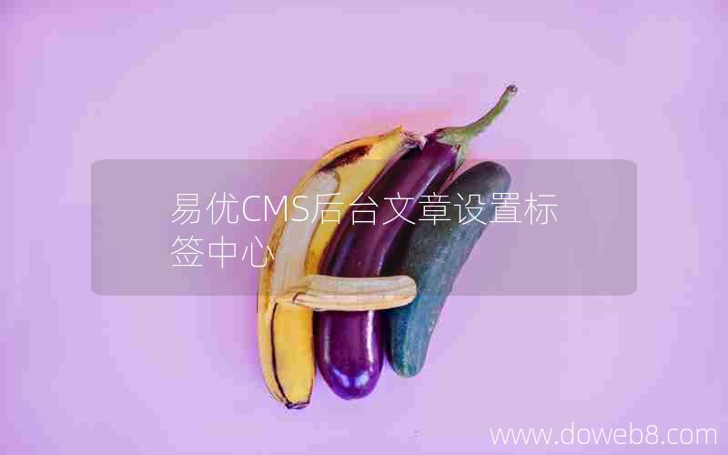 易优CMS后台文章设置标签中心