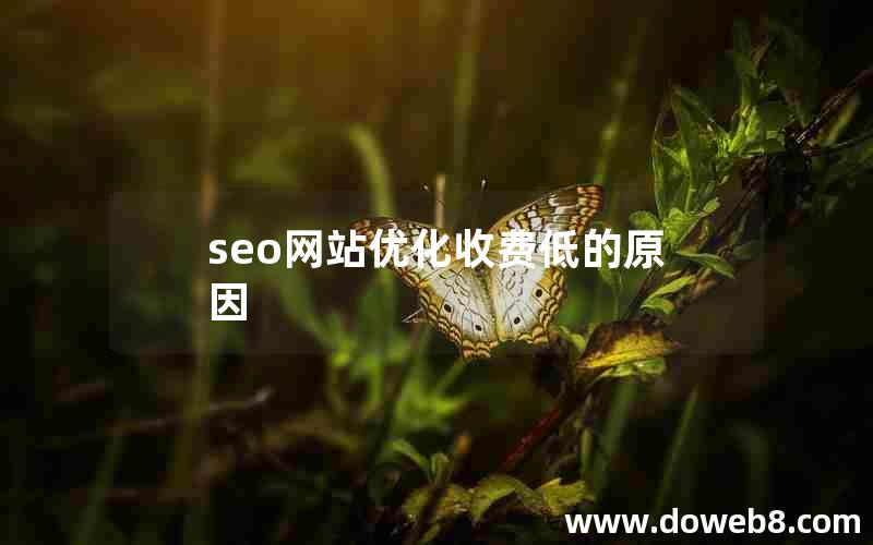 seo网站优化收费低的原因