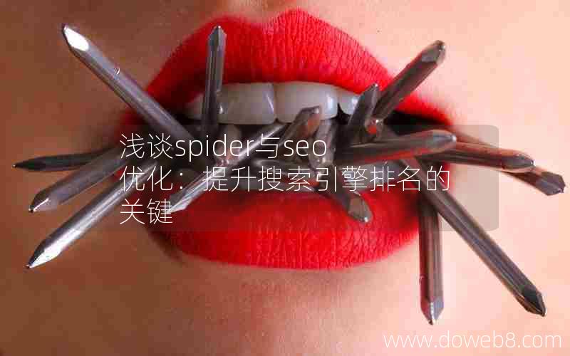 浅谈spider与seo优化：提升搜索引擎排名的关键