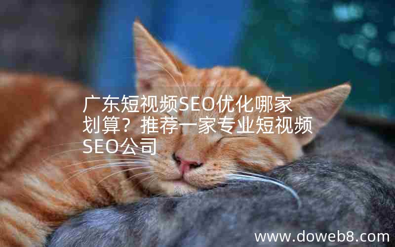 广东短视频SEO优化哪家划算？推荐一家专业短视频SEO公司