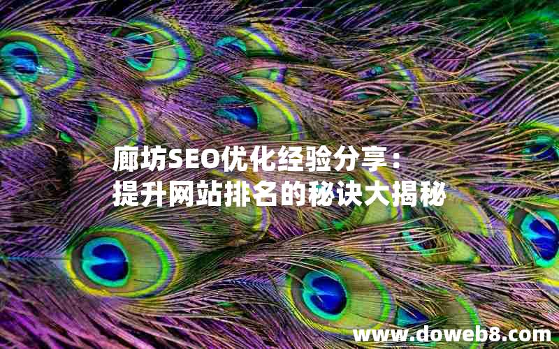 廊坊SEO优化经验分享：提升网站排名的秘诀大揭秘