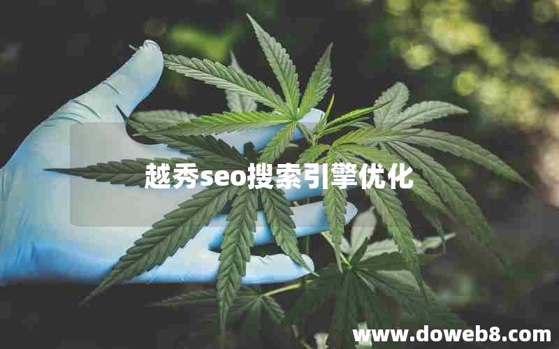 越秀seo搜索引擎优化