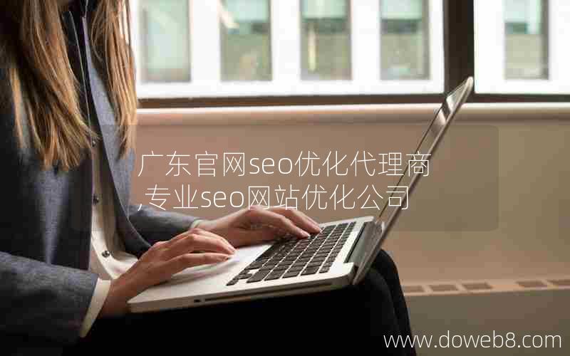 广东官网seo优化代理商,专业seo网站优化公司