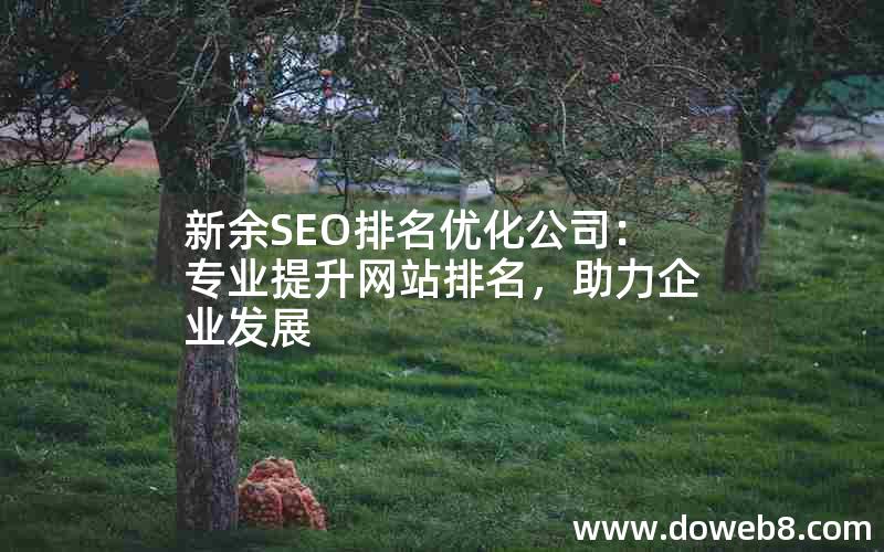 新余SEO排名优化公司：专业提升网站排名，助力企业发展