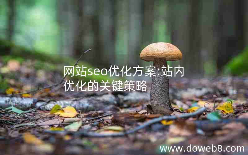 网站seo优化方案:站内优化的关键策略