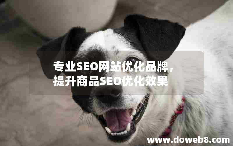 专业SEO网站优化品牌，提升商品SEO优化效果