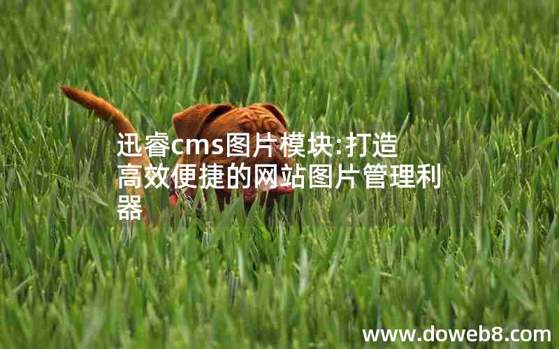 迅睿cms图片模块:打造高效便捷的网站图片管理利器