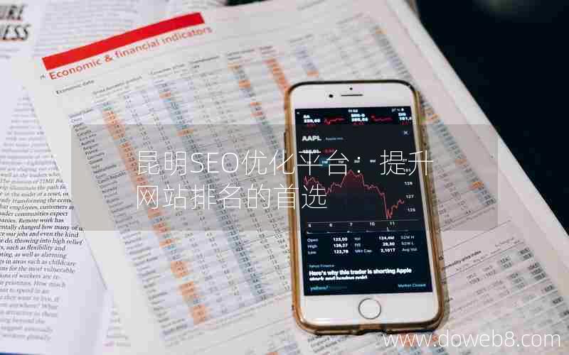 昆明SEO优化平台：提升网站排名的首选