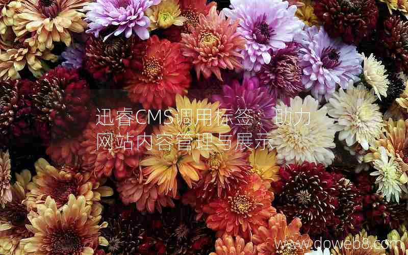 迅睿CMS调用标签：助力网站内容管理与展示